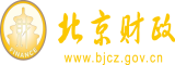 美女叫我日比北京市财政局