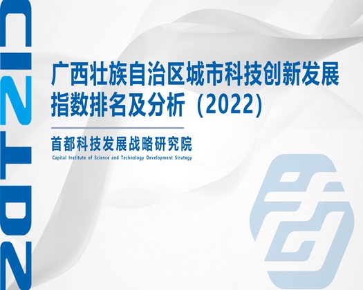 操幼嫩嫩b视频【成果发布】广西壮族自治区城市科技创新发展指数排名及分析（2022）